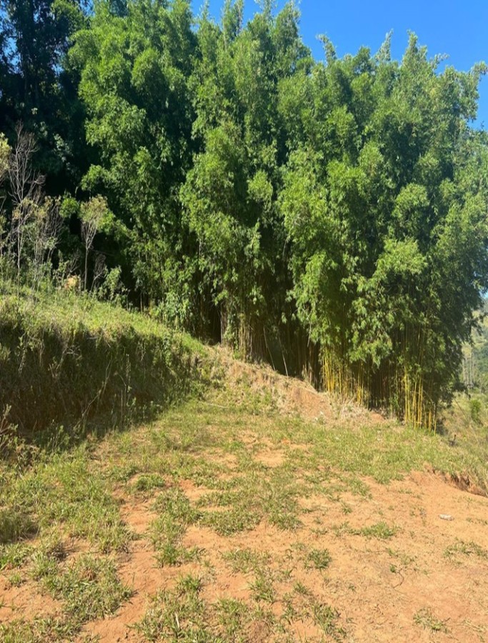 Terreno, 2 hectares - Foto 1