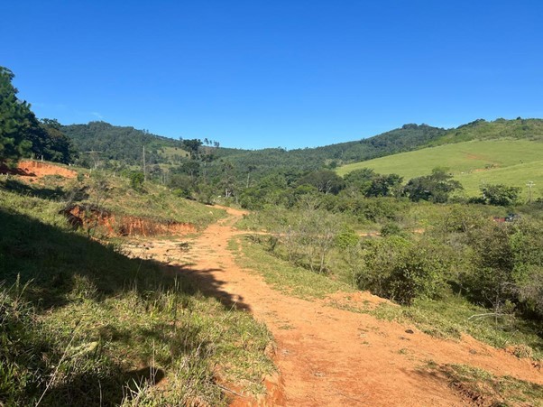 Terreno, 2 hectares - Foto 4