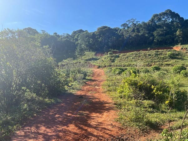 Terreno, 2 hectares - Foto 11