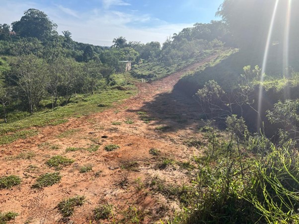 Terreno, 2 hectares - Foto 7