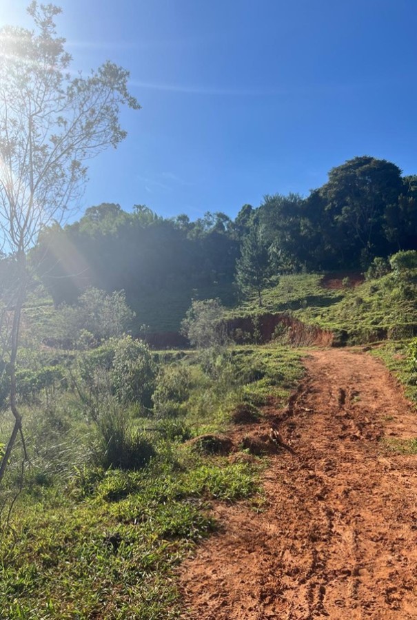 Terreno, 2 hectares - Foto 12