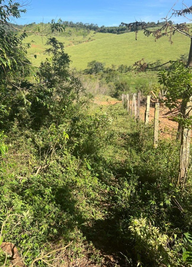 Terreno, 2 hectares - Foto 15