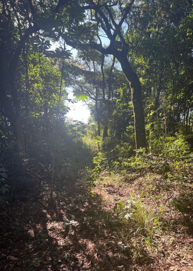 Terreno, 2 hectares - Foto 18