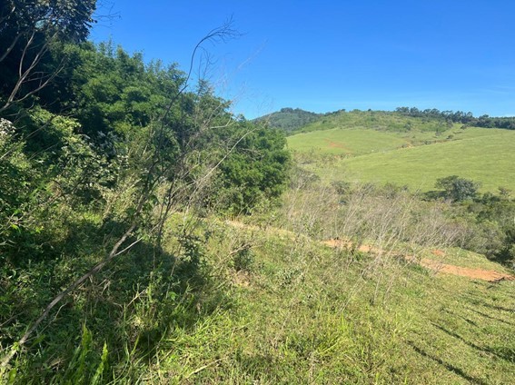 Terreno, 2 hectares - Foto 17