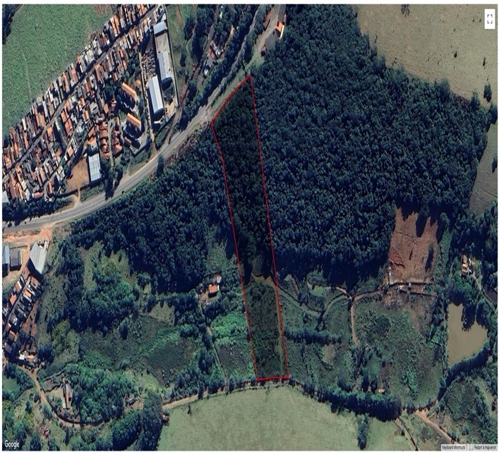 Terreno, 2 hectares - Foto 20