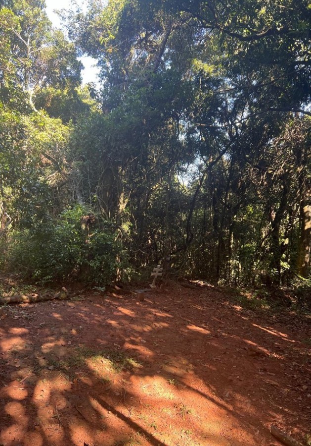 Terreno, 2 hectares - Foto 19