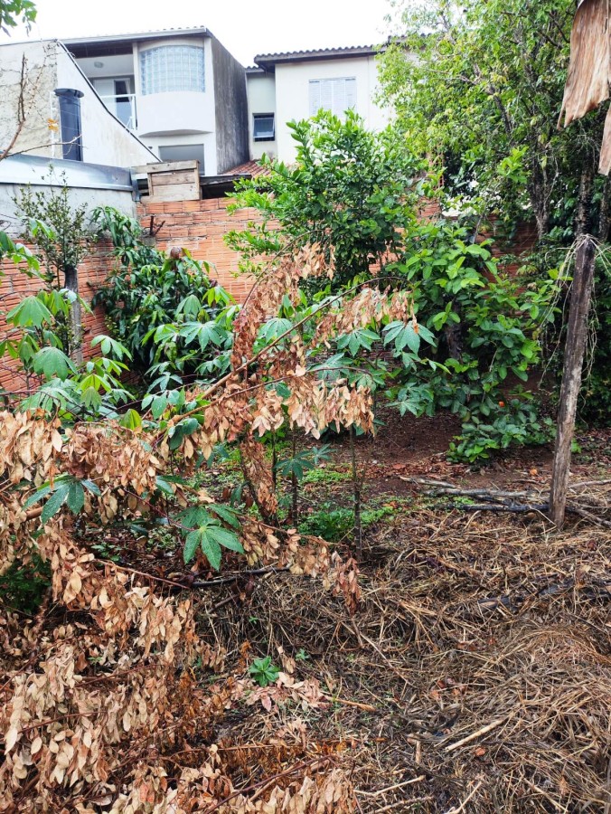 Casa, 2 quartos - Foto 21