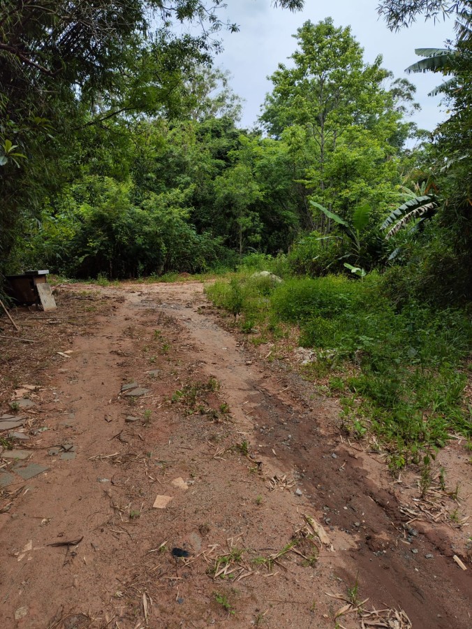 Chácara, 2 quartos, 1050 m² - Foto 3